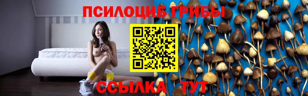 Псилоцибиновые грибы мухоморы  Галлюциногенные грибы Cubensis  Вход с VPN  Орехово-Зуево 